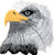 Bald American Eagle Embroidered Iron On Patch CD3540 by Cool-Patches