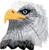 Bald American Eagle Embroidered Iron On Patch CD3540 by Cool-Patches