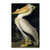 American White Pelican Artwork by John James Audubon, 16 by 24-Inch Canvas Wall Art