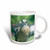 3dRose mug_195161_3 Peregrine Falcon Magic Transforming Mug, 11-Ounce