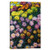 iCanvasART 1-Piece Massif de Chrysanthemes, 1897 Canvas Print by Claude Monet, 0.75 by 18 by 12-Inch