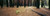Posterazzi Burnt Pine Trees in a Forest Yosemite National Park California USA Poster Print, (18 x 6), Varies
