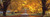 Posterazzi Road Baltimore County Maryland USA Poster Print, (18 x 6)