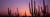 Posterazzi PPI127392S Silhouette Cacti (Carnegiea gigantea) on a Landscape Saguaro National Park Tucson Pima County Arizona USA Poster Print, 18 x 6