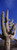 Posterazzi PPI127394S Low Angle View Cactus (Carnegiea gigantea) on a Landscape Saguaro National Park Tucson Arizona USA Poster Print, 18 x 6