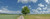 Posterazzi Country road passing through a field Horb Am Neckar Baden-Wurttemberg Germany Poster Print, (15 x 6)