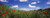 Posterazzi Red poppies blooming in a field Baden-Wurttemberg Germany Poster Print, (18 x 7)