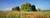 Posterazzi Flowers in a field Andalusia Spain Poster Print, (18 x 7)