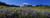 Posterazzi PPI92144S Wildflowers On A Landscape Mt Rainier National Park Washington State USA Poster Print, 18 x 7