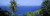 Palm trees on the coast Tobago Trinidad And Tobago Poster Print (18 x 6)