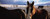 Posterazzi Horses in a field Montana USA Poster Print, (15 x 6)