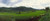Terraced rice field Flores Island Indonesia Poster Print (15 x 6)