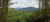 Terraced rice field Flores Island Indonesia Poster Print (15 x 6)