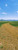 Posterazzi PPI146115S Dirt road passing through a landscape San Rafael Valley Arizona USA Poster Print, 18 x 7