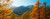 Posterazzi Larch trees in autumn at Simplon Pass Valais Canton Switzerland Poster Print, (18 x 7)