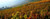 Posterazzi Vineyards and village in autumn Valais Canton Switzerland Poster Print, (15 x 6)