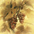 Posterazzi Grapes III Poster Print by E Denis, (24 x 24)