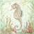 Posterazzi Seahorse III Poster Print by Kate McRostie, (12 x 12)
