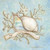 Posterazzi Treasures of the Tide III Poster Print by Kate McRostie, (24 x 24)
