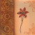 Posterazzi Flower with border III Poster Print by Hedy, (12 x 12)