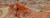 Posterazzi Sandstone patterns Valley of Fire State Park Nevada USA Poster Print, (7 x 18)