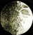 Posterazzi Galileo Moon Drawing Poster Print by Science Source, (18 x 24), Varies