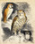 Nocturnal Scene with Three Owls Poster Print by Science Source (18 x 24)