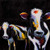 Posterazzi Collection Two Funny Cows Poster Print by Atelier B Art Studio (12 x 12)