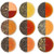 VAHDAM, Assorted Loose Leaf Tea Sampler - 10 TEAS, 50 SERVINGS - Black Tea, Green Tea, Oolong Tea, Chai Tea, White Tea | Tea Variety Pack | Hot, Iced,