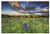 Global Gallery Katherine Gendreau, Lupine Sunset' Unframed Giclee on Paper Print, 18 x 12