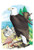 Buyenlarge The Bald Eagle (White-Headed Eagle) - 16" X 24" Fine Art Giclee Print