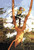 Buyenlarge 0-587-05020-9-P1827 in The Fork Paper Poster, 18" x 27"