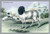 Buyenlarge 0-587-05812-9-P1827 The Persian Sheep Paper Poster, 18" x 27"