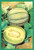 Buyenlarge 0-587-08626-2-P1827 Muskmelon Paper Poster, 18" x 27"