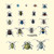 Buyenlarge Insect Study #2-8" X 12" Fine Art Giclee Print