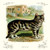 Buyenlarge 0-587-11207-7-G1827 'The Cat' Giclee Fine Art Print, 18" x 27" Buyenlarge 0-587-11207-7-G1827 'The Cat' Giclee Fine Art Print, 18" x 27"