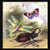 Buyenlarge 0-587-15096-3-P1827 Butterfly, Dragonfly and Beetles Paper Poster, 18" x 27"