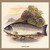 Buyenlarge 0-587-15578-7-P1218 Galaway Sea Trout Paper Poster, 12" x 18"