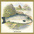 Buyenlarge "Grilse or Young Salmon Paper Poster, 18" x 27"