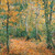 Buyenlarge 0-587-23237-4-P1218 Wood Lane Paper Poster, 12" x 18"