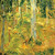 Buyenlarge Forest - 8" X 12" Fine Art Giclee Print