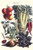 Buyenlarge 0-587-28625-3-P1827 Vegetables; Beet, Hot Peppers, Celery, Tomatoes, and Peas in Pods Paper Poster, 18" x 27"