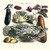 Buyenlarge 0-587-28630-x-P1218 Vegetables; Cucumber, Cabbage, Eggplant, Potato, and Beet Paper Poster, 12" x 18"