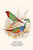 Buyenlarge 0-587-29616-x-G1624 Parrot Finch Fine Art Giclee Print, 16" x 24"