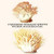 Buyenlarge 0-587-30015-9-G1827 'Clavaria Wiggly White Worm Mushroom' Giclee Fine Art Print, 18" x 27"