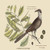 Buyenlarge 0-587-30560-6-G1827 'Carolina Cuckoo' Giclee Fine Art Print, 18" x 27"