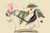 Buyenlarge Mocking Bird - 12" X 18" Paper Poster. (Edition 7279),