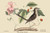 Buyenlarge Mocking Bird - 12" X 18" Paper Poster. (Edition 7280),