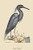 Buyenlarge 0-587-30694-7-G1624 Blue Heron Fine Art Giclee Print, 16" x 24"