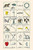 Buyenlarge Charges - 18" X 27" Paper Poster. (Edition 12721),